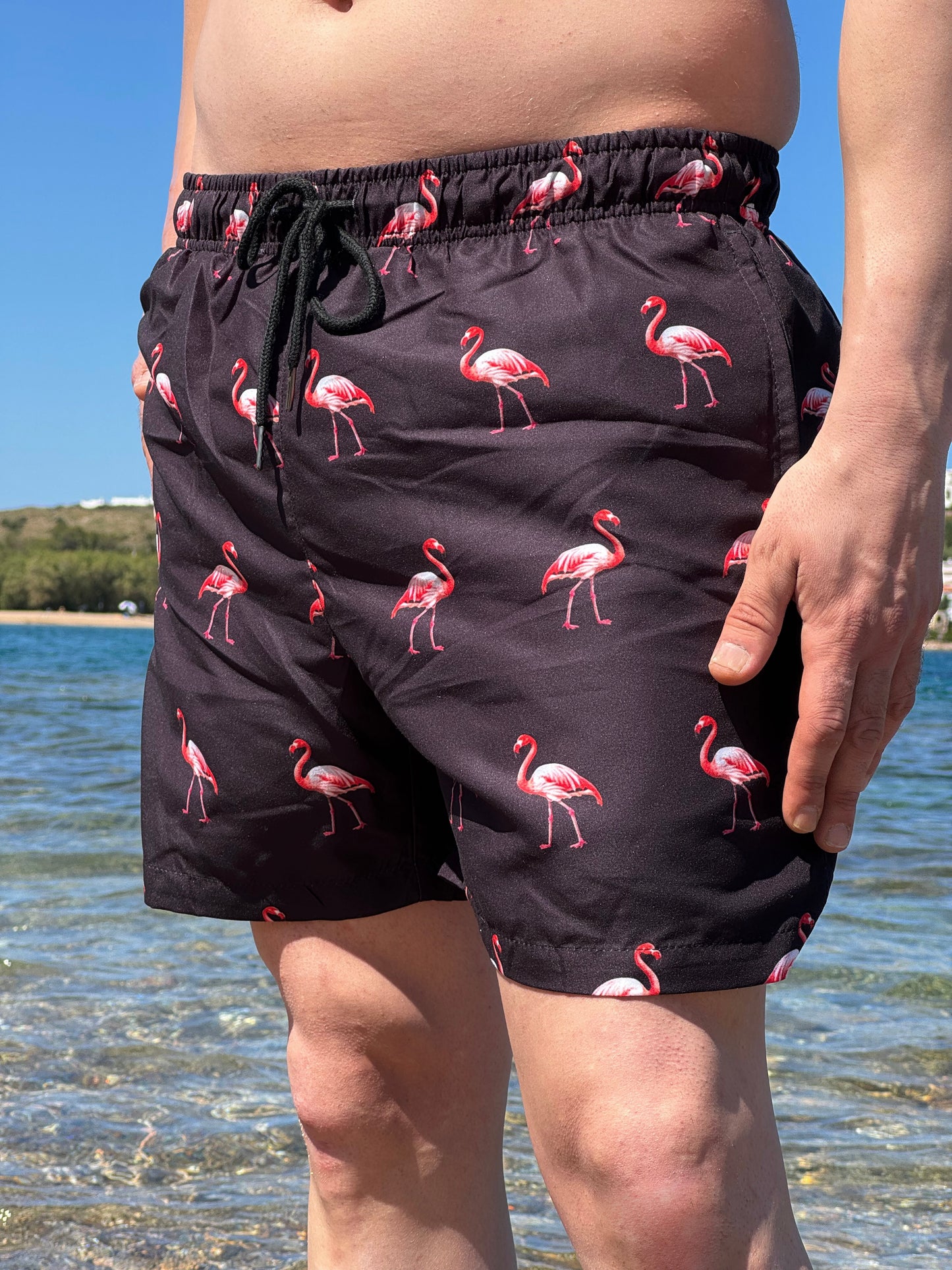Flamingo Print Swimshorts - Black