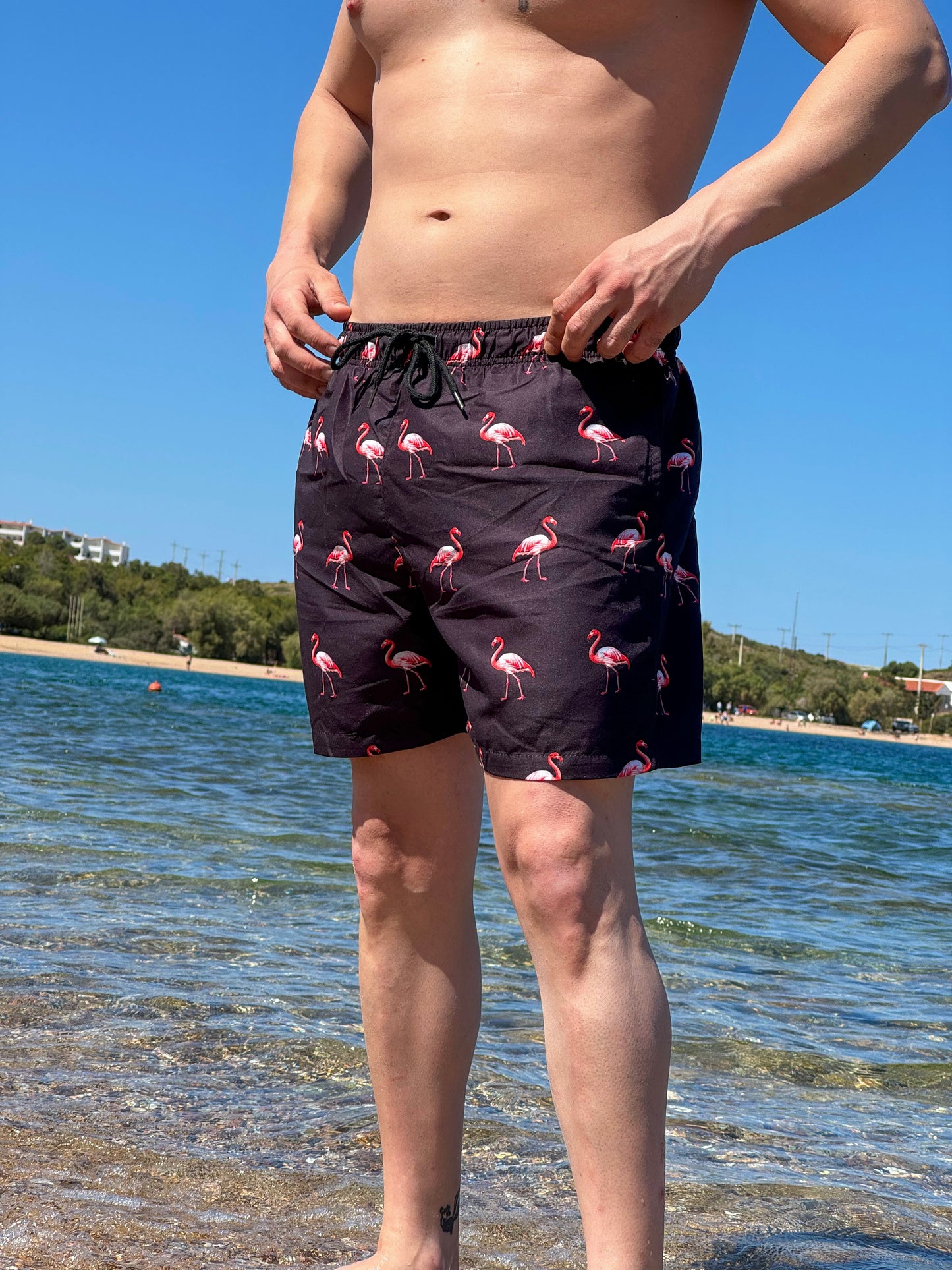 Flamingo Print Swimshorts - Black